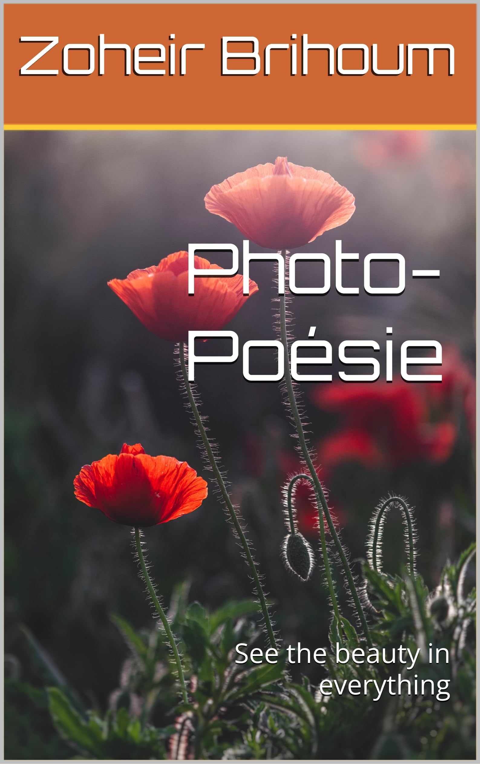 Photo-Poésie livre de photographies artistiques d'art et poèmes inspirants