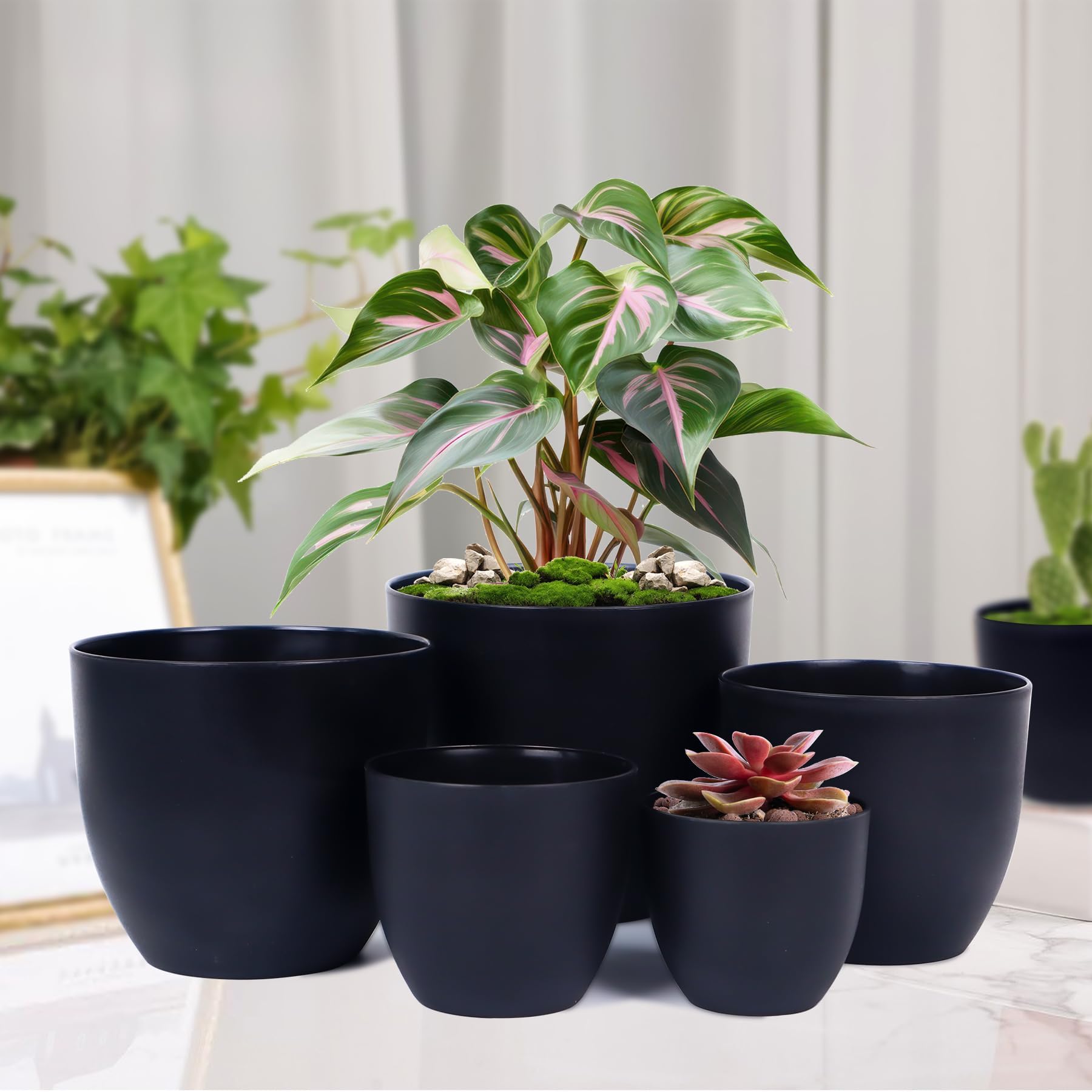 Amazon.co.jp: 【5個SET】Maceta Plastic Pot【BasicLow】マセタ