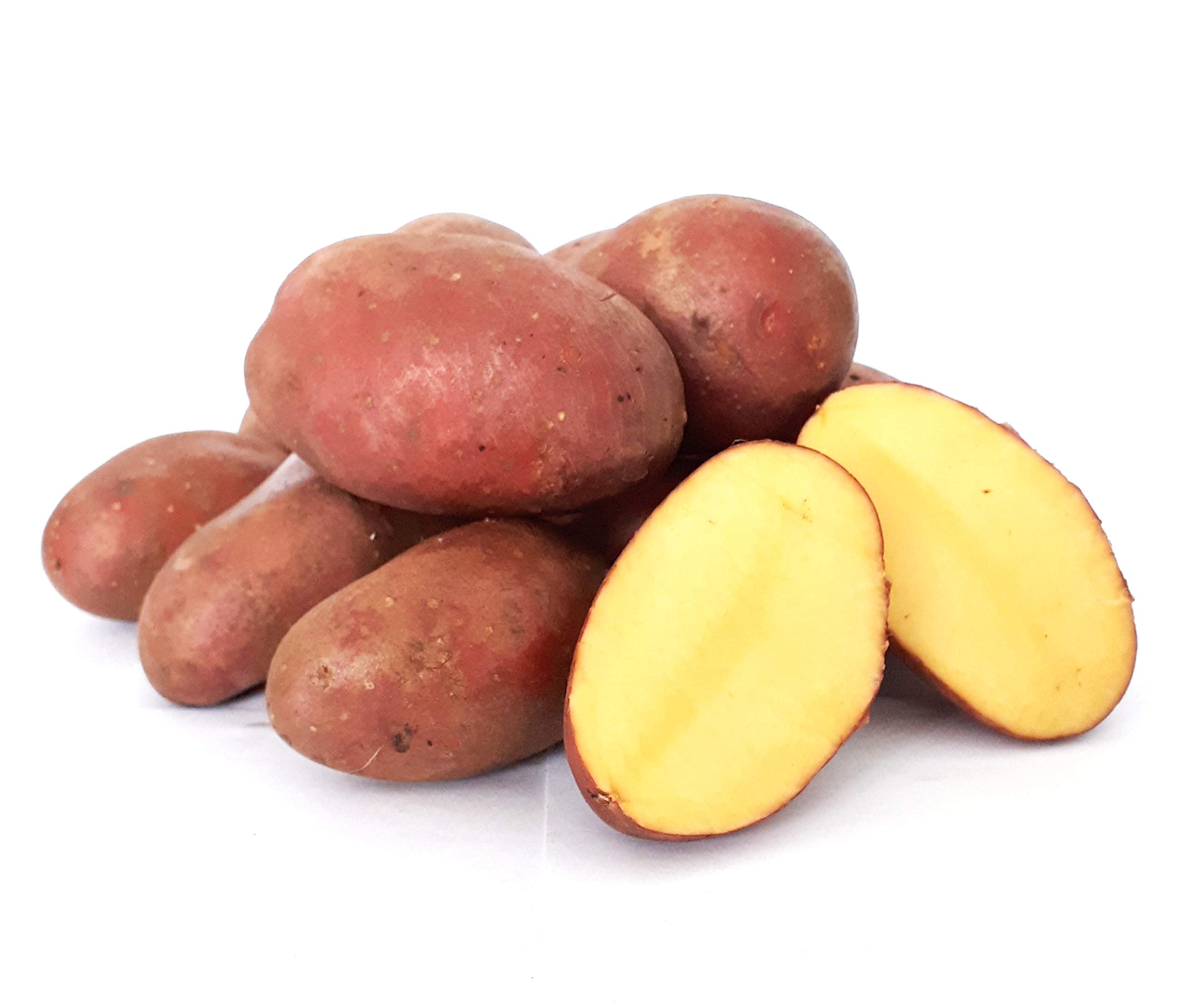 Kartoffel Laura halbmehlig festkochend rote Kartoffeln 1-25 kg für Salz-, Pell-, Back-, Folien- und Gratin-Kartoffel, Pommes (25)