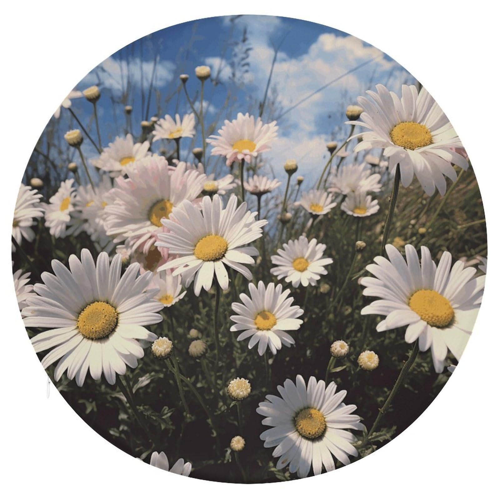Wsoihfec Style Beautiful Daisies Seat Cushion Round Chair Pad