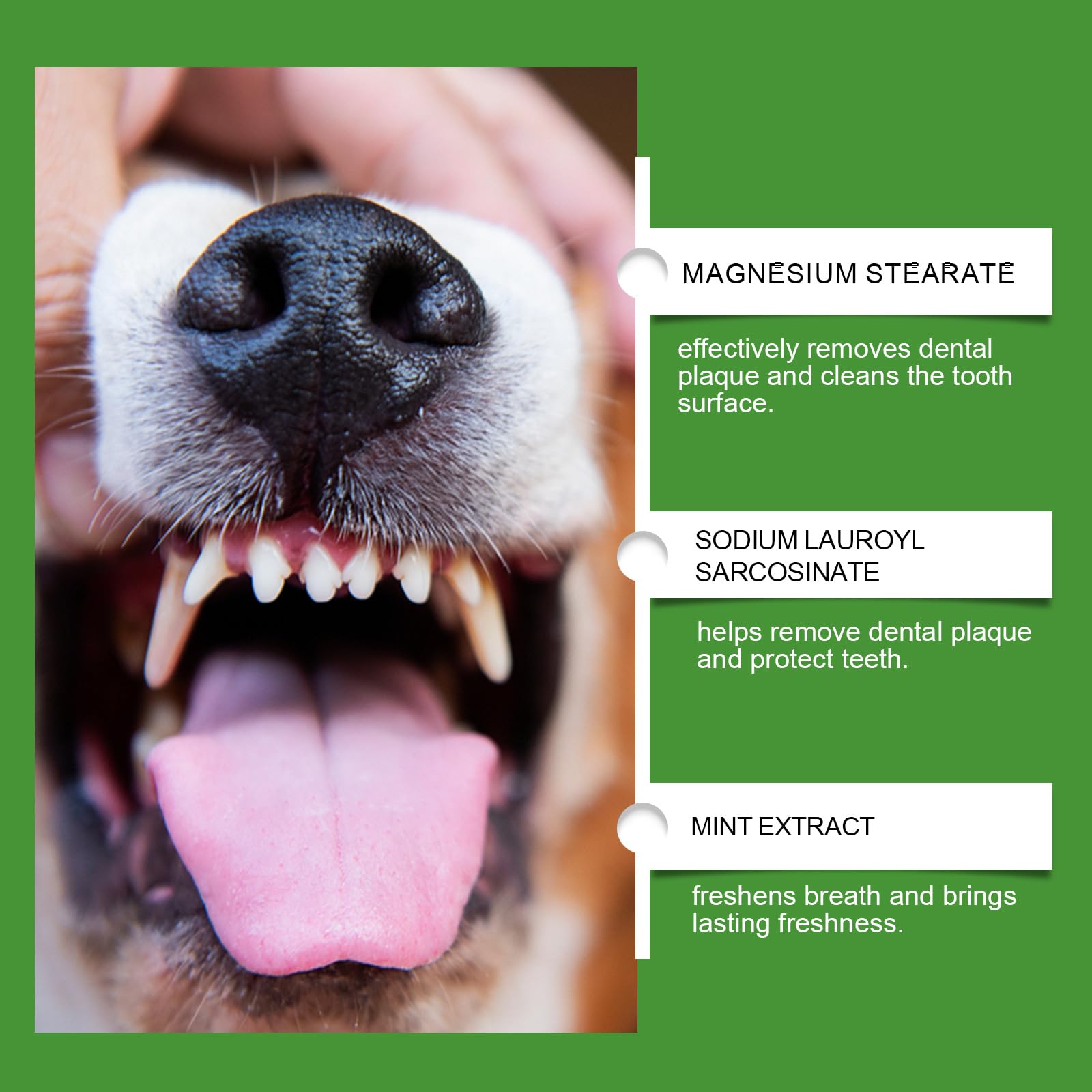 Polvo dental para perros para la limpieza dental, polvo para el cuidado dental de perros, polvo para limpieza dental sin cepillo, control de placa y sarro con probióticos, sabor a menta. (8 Cajas)