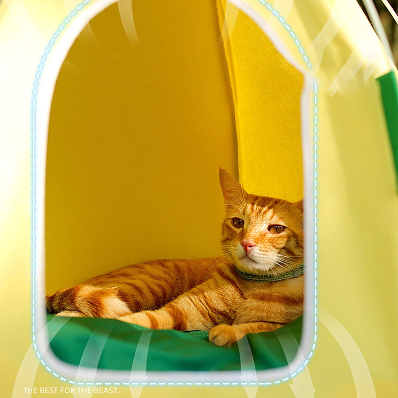 Lit pour Chat Lit pour Chaton Tente pour Chat, Lit pour Animal de Compagnie Triangle Igloo Confortable et Pliable, Maison de Grotte pour Chat en Forme d'ananas avec Coussin Amovible