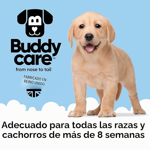 Foto 6 de 8 de Buddycare Champú y acondicionador para Perros