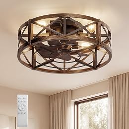 Caged Ceiling Fan with Light and Remote, 20" Low Profile Flush Mount Ceiling Fans with Light, 6 Speed, Timing, Reversible DC Motor, Small Farmhouse Fan Lights for Bedroon Kitchen Living Dining Room