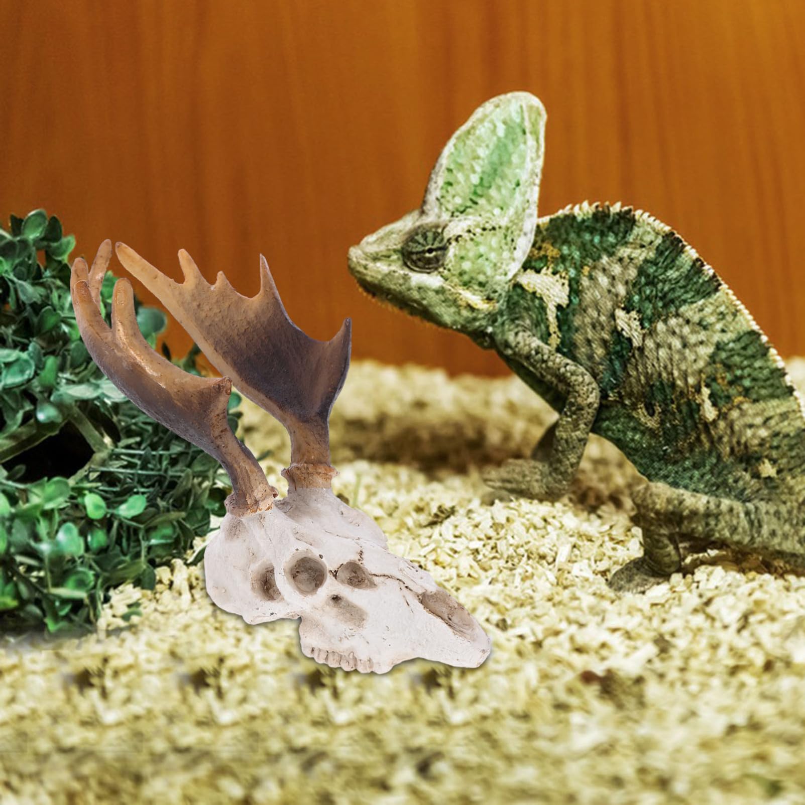 Sosoport 3stücke Reptilien Versteck Höhlen-Dekoration Aus Harz Mit Einzigartigem Elch-schädel-Design Für Terraristische Landschaftsgestaltung Für Kleine Reptilien Und Amphibien