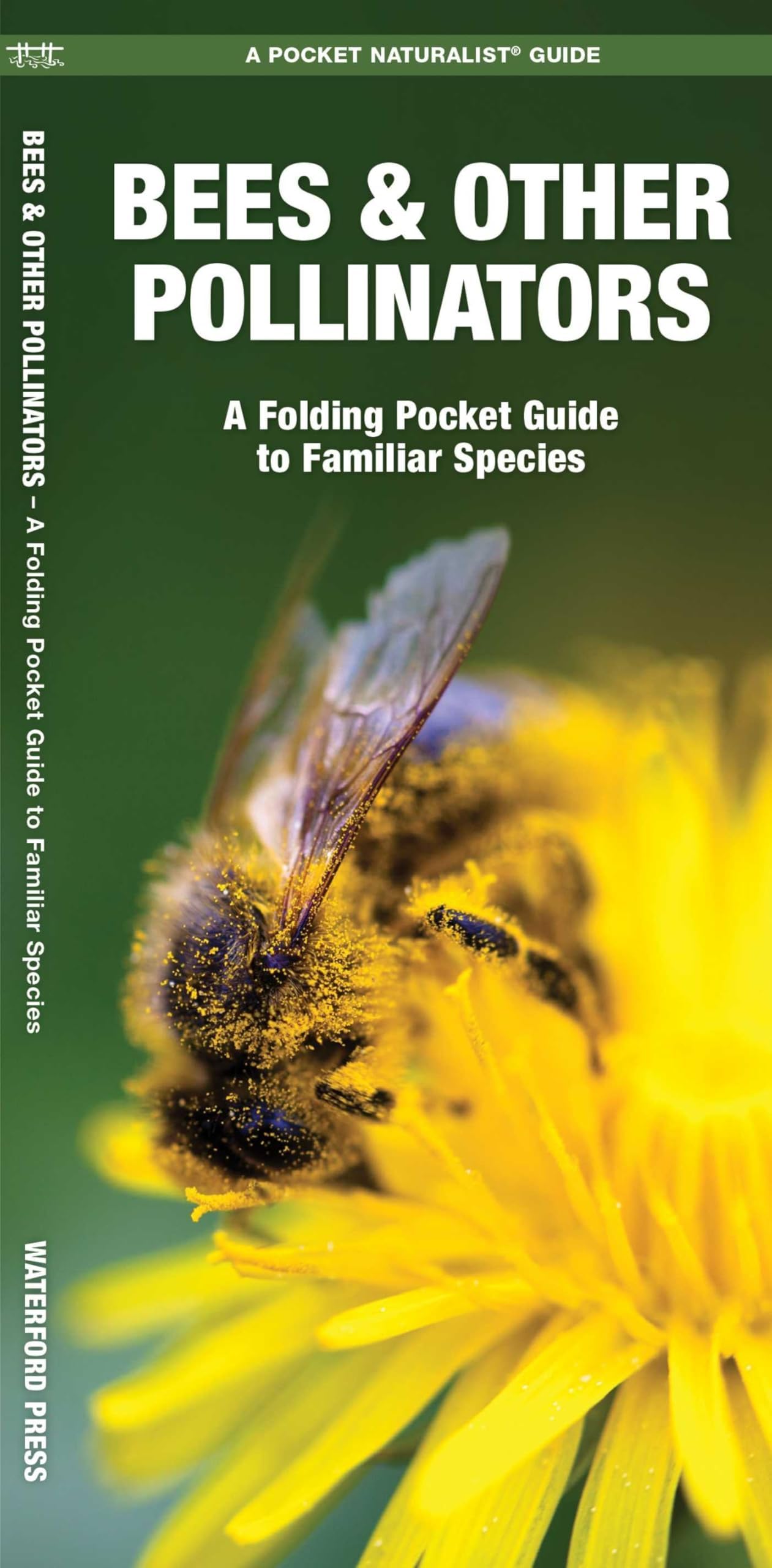 Bees & Other Pollinators (Nature Observation North America)