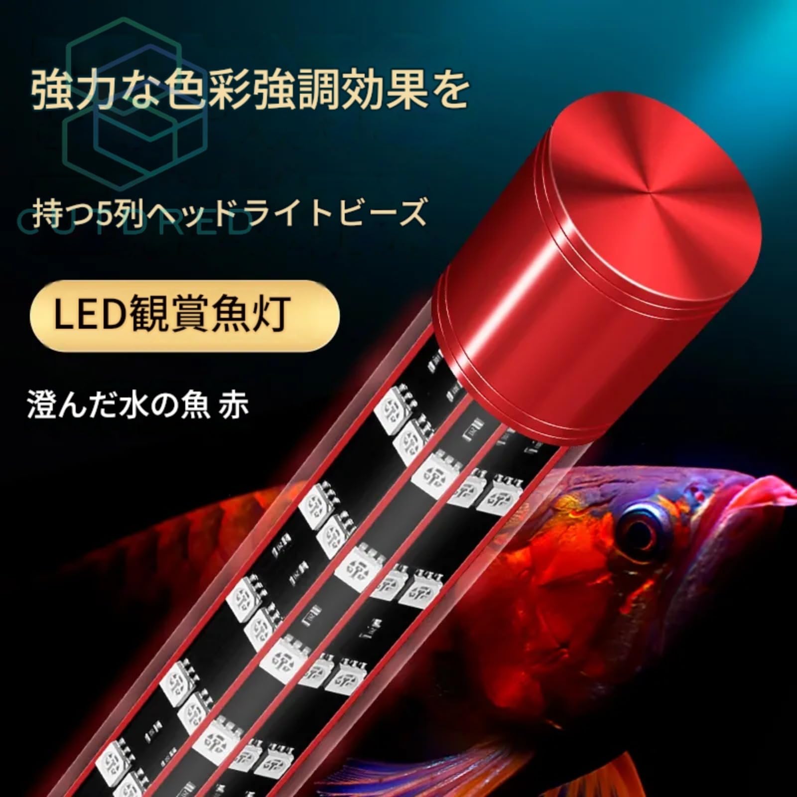 Amazon.co.jp: [Cutdred] アロワナ専用 LED 水槽ライト 水中設置対応
