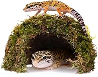 ORBIDYN Natural Coconut Shell Dome Hide for Leopard Geckos, Snakes & Hermit Crabs - Handcrafted Reptile Cave Shelter