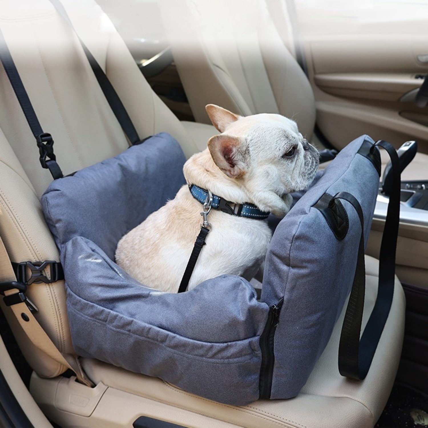 Seggiolino Auto Rialzato Per Cani Piccola/Media Taglia Fino A 15 Kg, Con Cinture E Tasche Portaoggetti