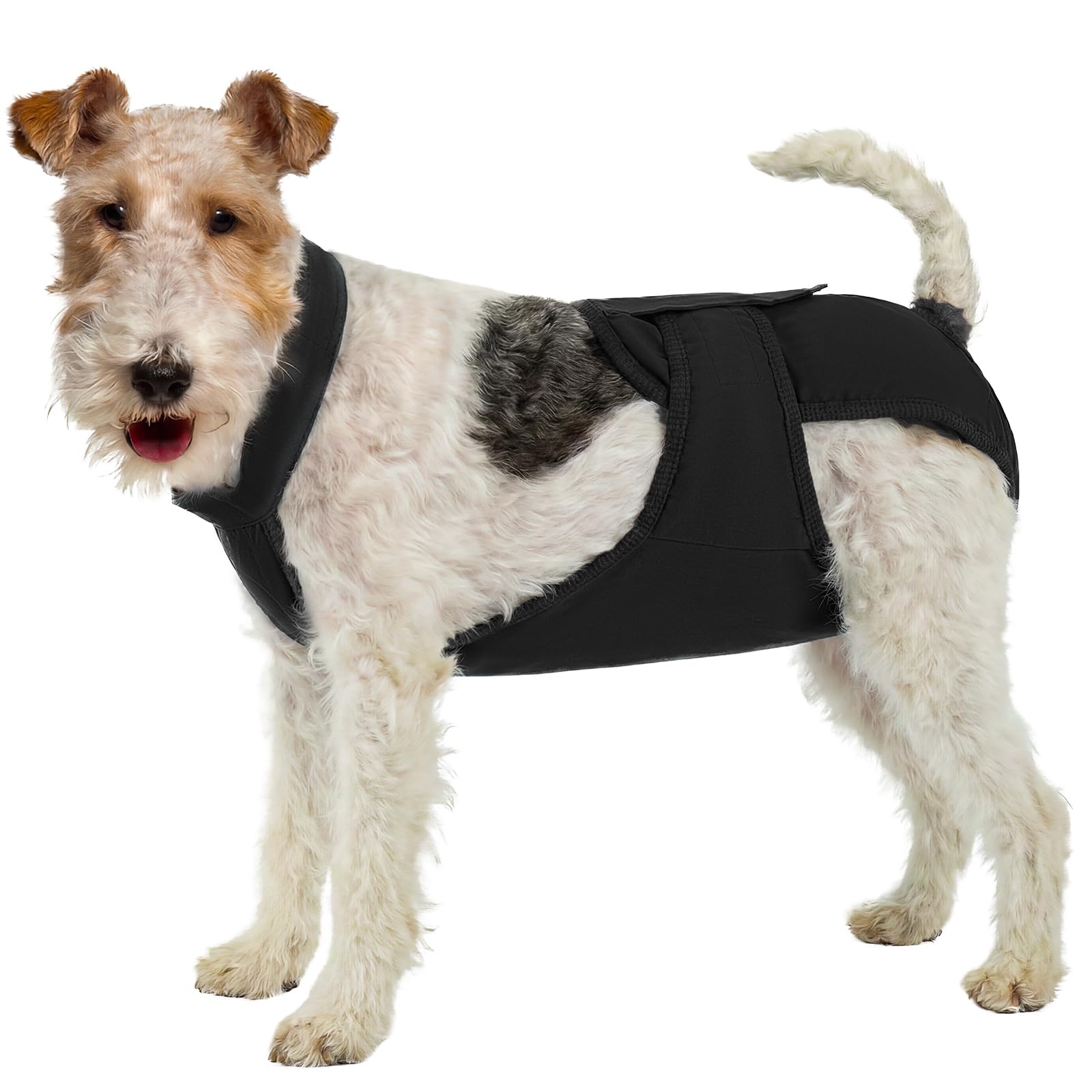IECOii Reusable Dog Nappies with Shoulder Straps,Waterproof Anti-Slip Dog Period Nappies,Adjustable Hook & Loop Nappies for Dogs in Season, Incontinence,Post-Surgery & House Training,Black,M