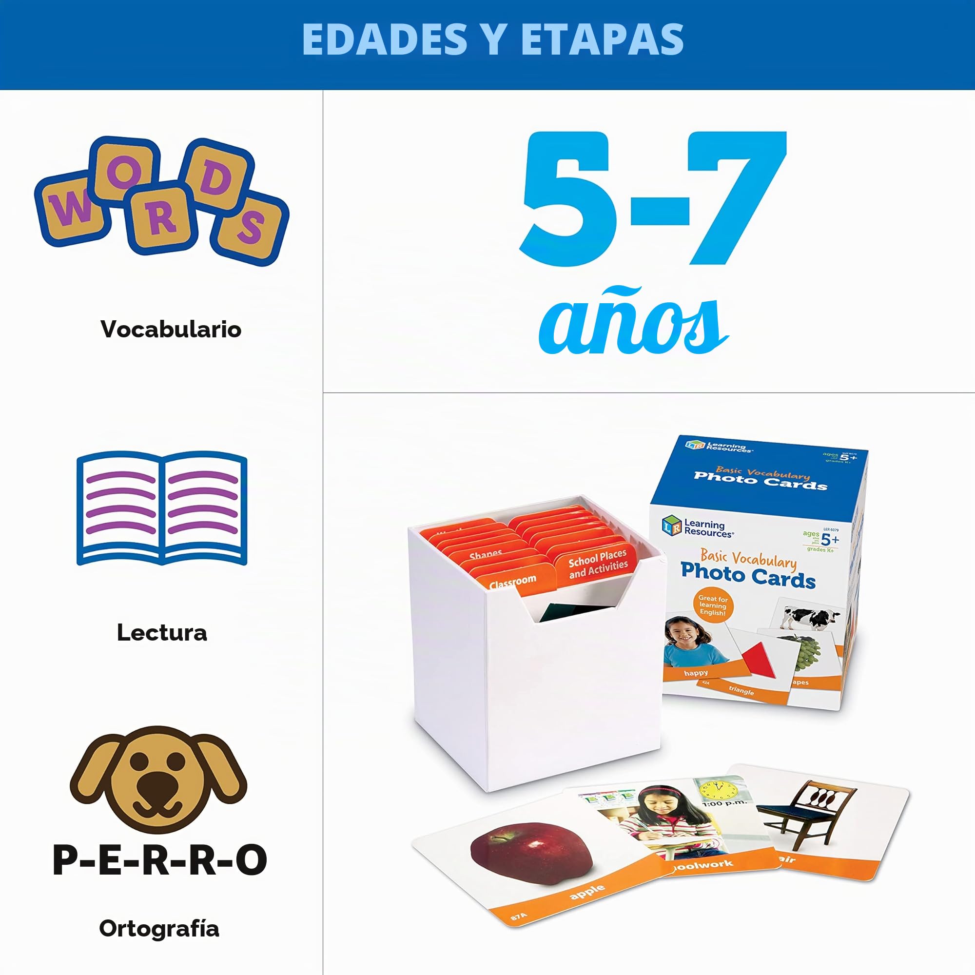 Learning Resources Tarjetas Fotográficas Vocabulario Básico, 5+ Años, Juego Educativo para Desarrollar Destrezas de Lenguaje y Alfabetización