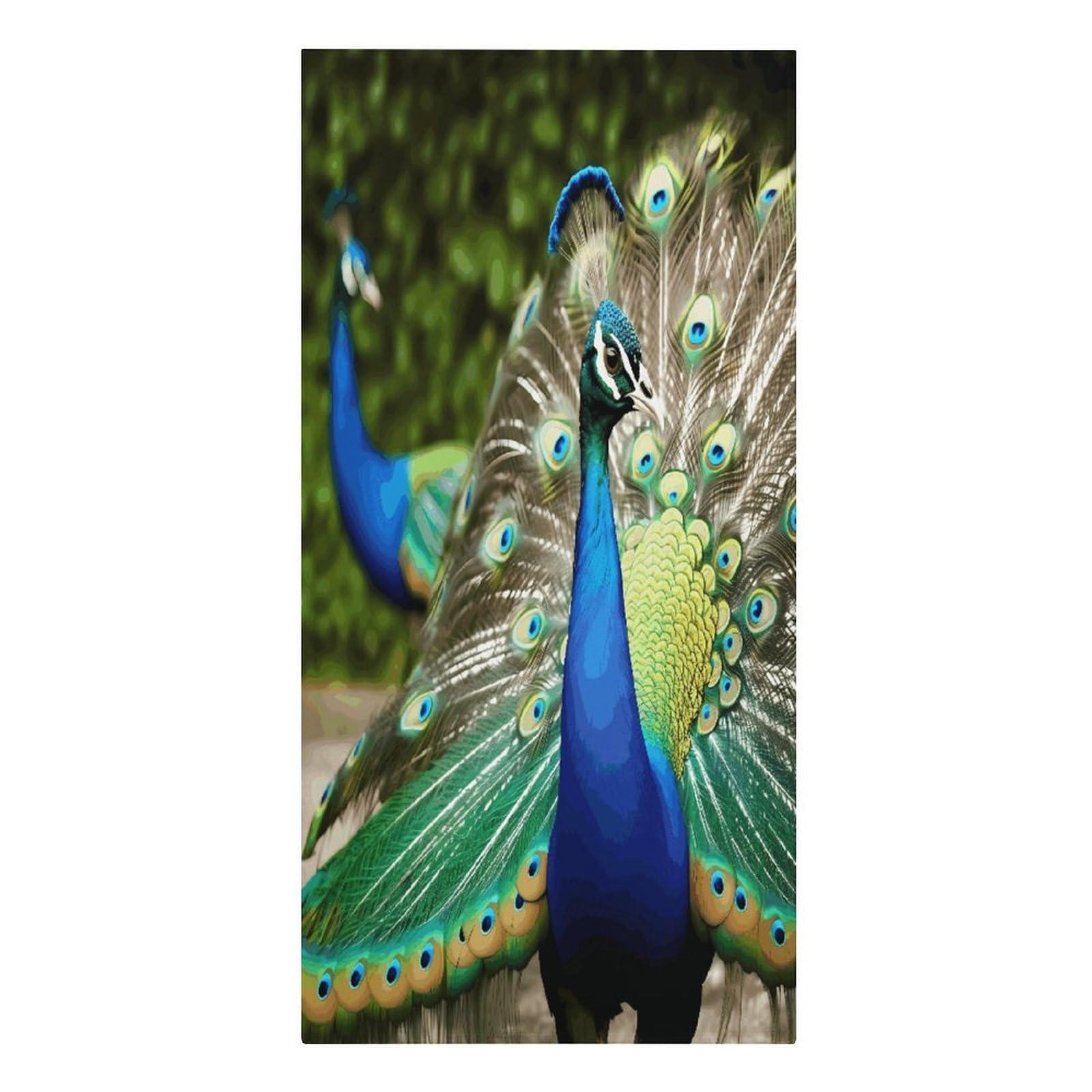 FodPand Beautiful Peacock Beach Towels Super Absorbent Bath Towel Oversized Microfiber Towel Soft Beach Blanket Fashon Quick Dry Travel Towels for Beach Bathroom Pool Adult 30" X 61"