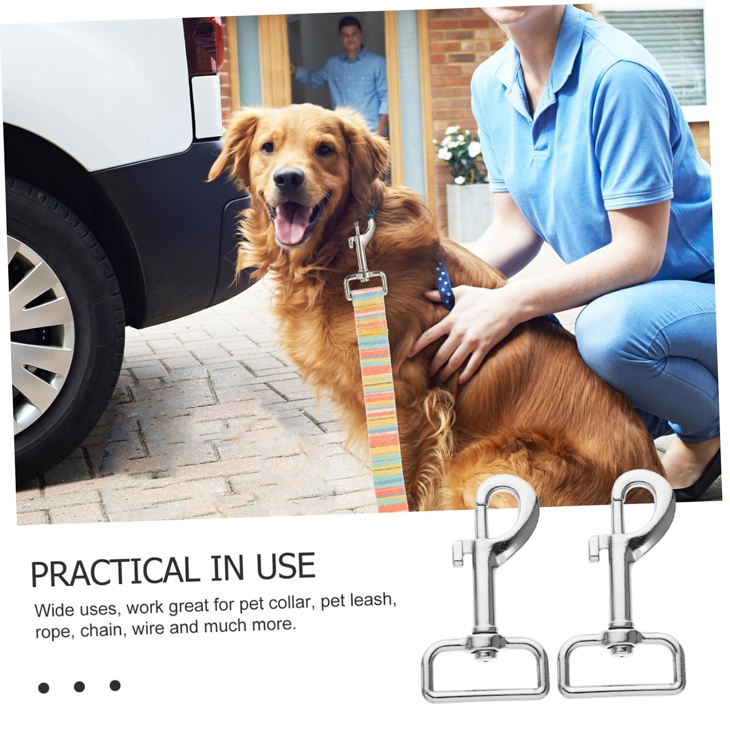 10Pcs Heavy Duty Pet Leash Snap Hooks Clips Double End Buckle for Dog Collars Harnesses Camping Gear and Sports Equipment