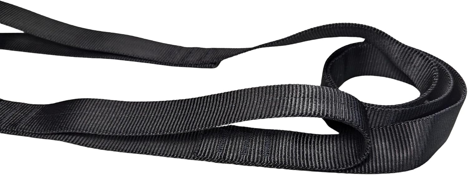 Heavy Duty Double Handle Dog Leash with Frog Clip (Black, 6 ft)