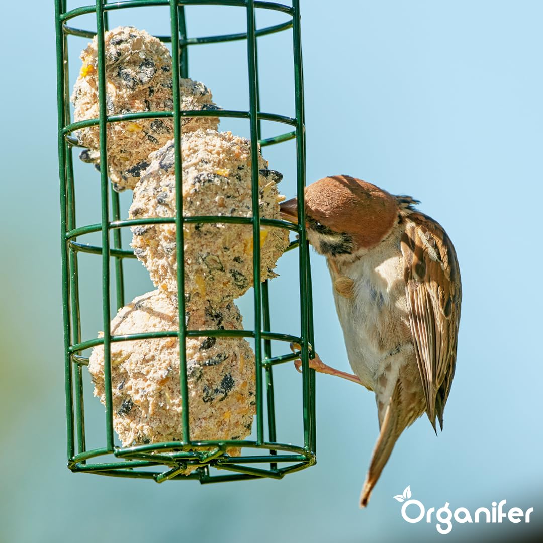 Bolas De Grasa para Insectos para Pájaros De Jardín - 75x100g | Con Soporte Gratuito - Con Gusanos De Harina Y Semillas De Girasol - Organifer