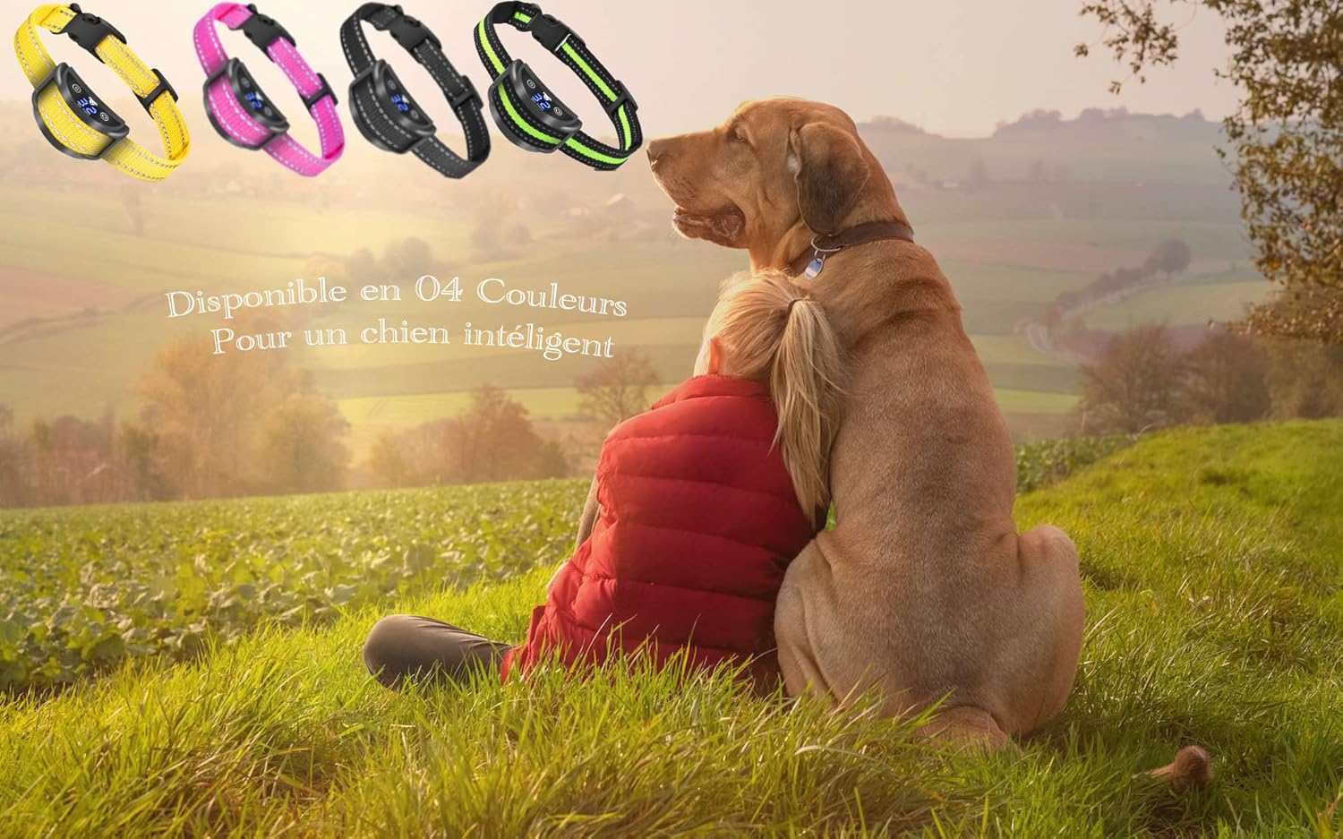 FRAN collier anti aboiement en action