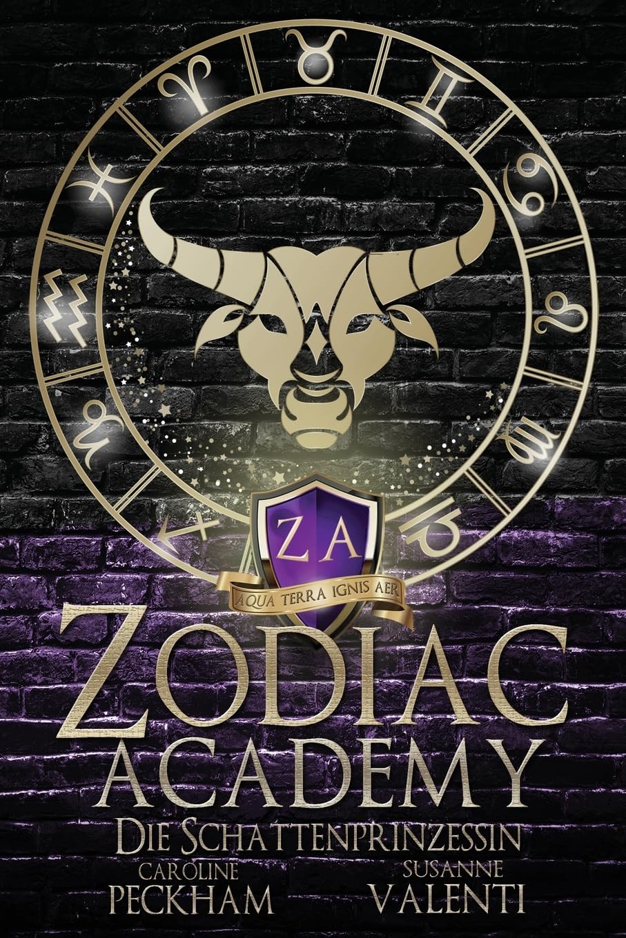 Zodiac Academy 4: Die Schattenprinzessin (Zodiac Academy (Deutsche Ausgabe))