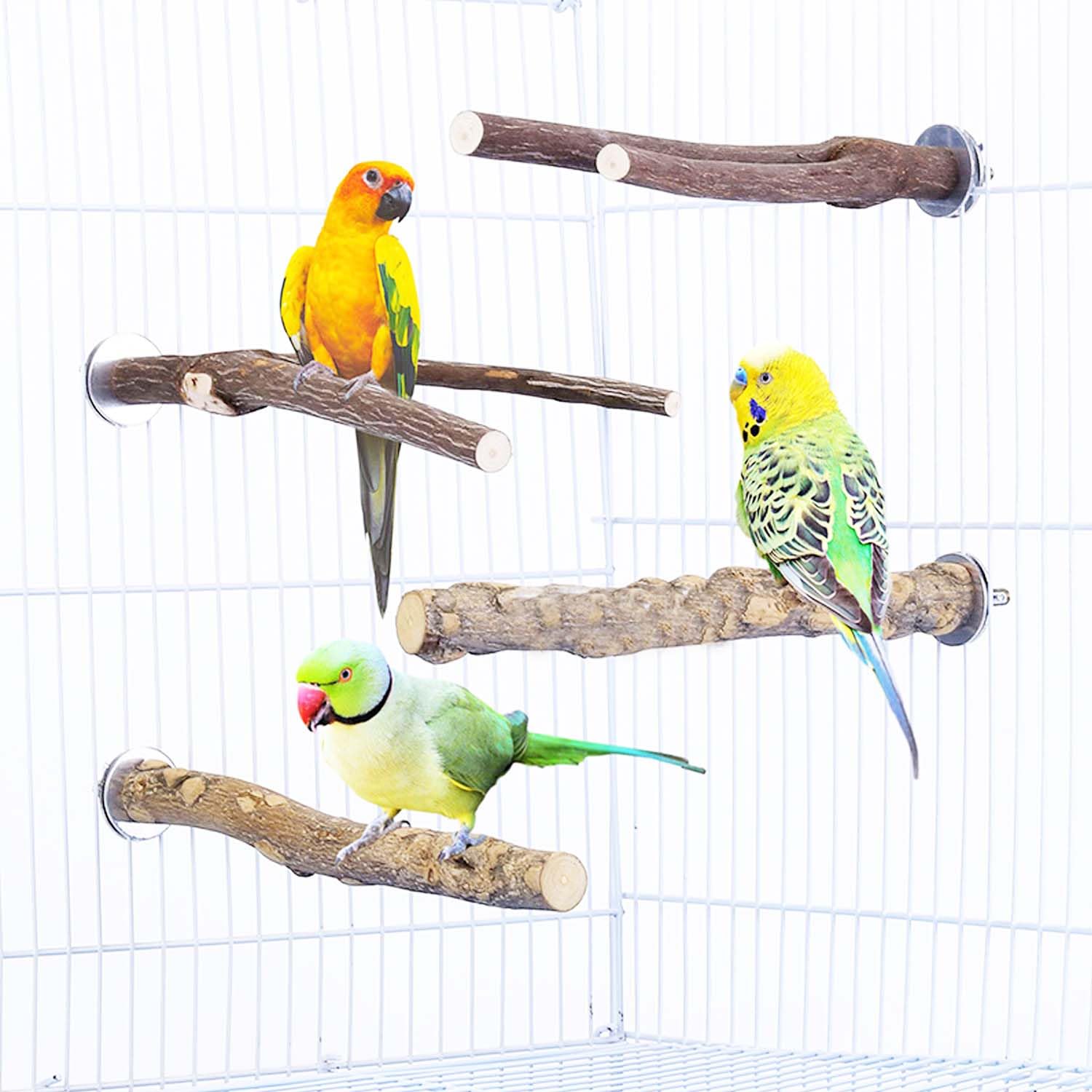 Allazone 4 PCS Natural Parrot Perch Wooden Parrot Perch Stand Bird Stand Parakeet Climbing Standing Branches Toy for Small Lovebirds Budgies Cockatiels - image 4