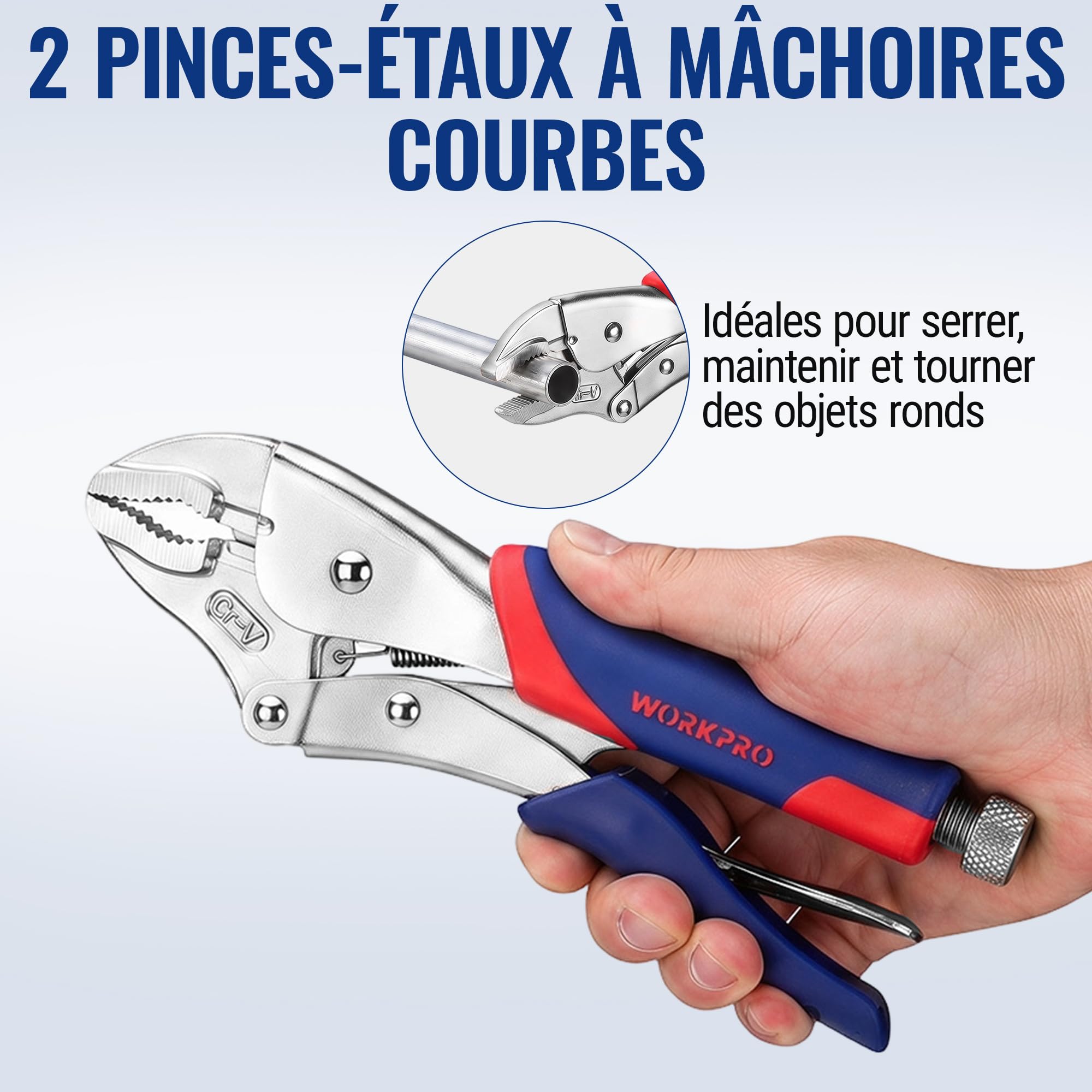 WORKPRO Jeu de 3 Pinces-Étaux Autobloquantes, Pince-Étau à Bec Long 165 mm et Pinces-Étaux à Mâchoires Courbes 180 mm et 255 mm, Cr-V, Déverrouillage Rapide, Poignées Bi-matière Antidérapantes