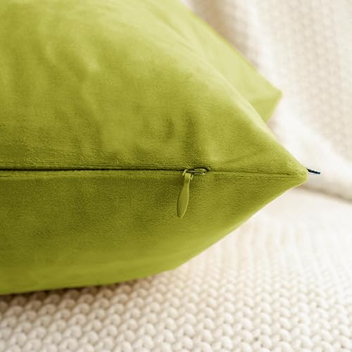 Miniatura 4 de HWY 50 Juego de 2 fundas de cojín rectangulares de terciopelo verde hoja de 12 x 20 pulgadas, fundas de cojín decorativas de lujo suaves y