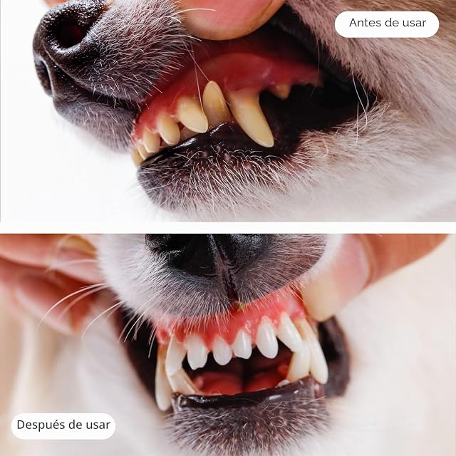 Foto 5 de 7 de 12 Cepillos de Dientes de Silicona Suave para Mascotas, Cepillo de Dientes para Perros