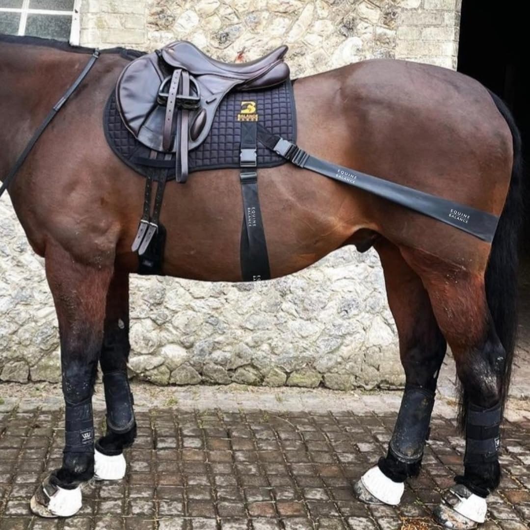 Equine Band System - Core Training Aid for Horses. Saddle Pad and Equibands System by Equine Balance Bands (Jump) - Image 2