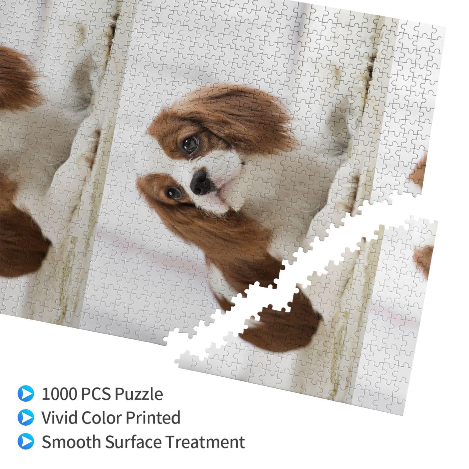 Cavalier King Charles Spaniel Spaniel Marrone, Puzzle da 1000 pezzi per adulti, Puzzle impegnativi, Puzzle a incastro
