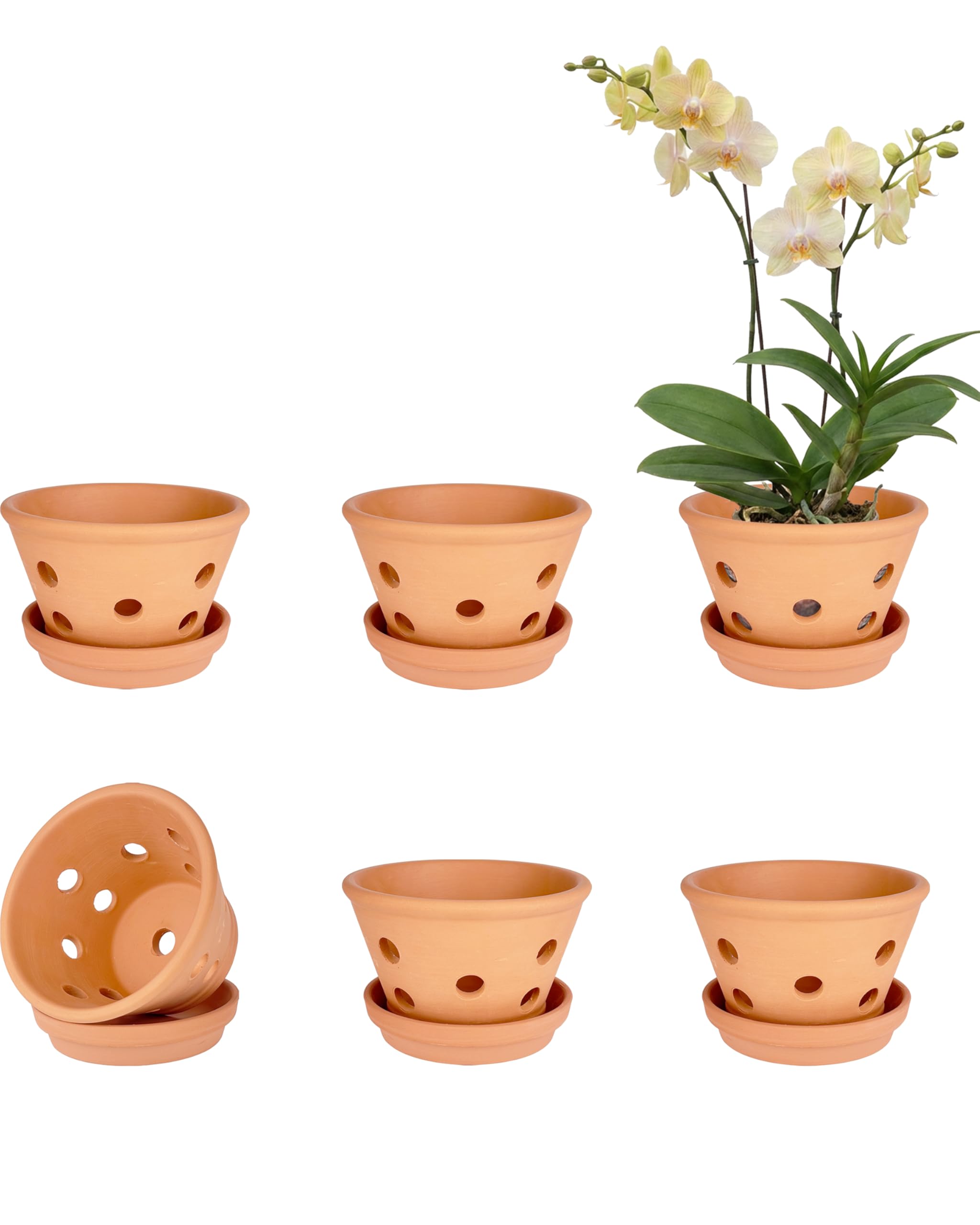 vensovo Lot de 6 grands pots à orchidée en terre cuite de 12,7 cm avec trous et soucoupes pour rempotage - Pour intérieur et extérieur - Favorise la circulation de l'air