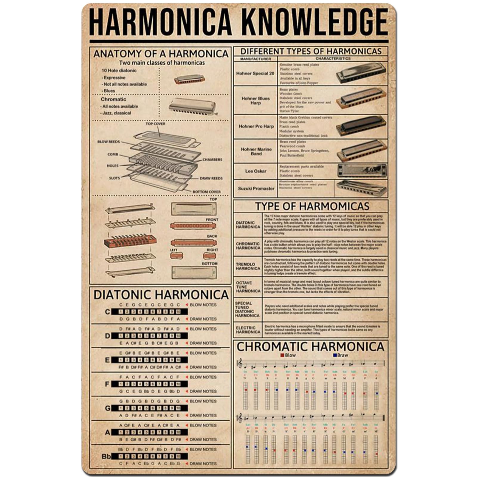 Peiyeety Yy-33 Harmonica Knowledge Metal Tin Signs Harmonica Information Retro Poster Popular Science Educational Charts Wall Plaques Decor For Home Classroom Room Office 12X16 Inch