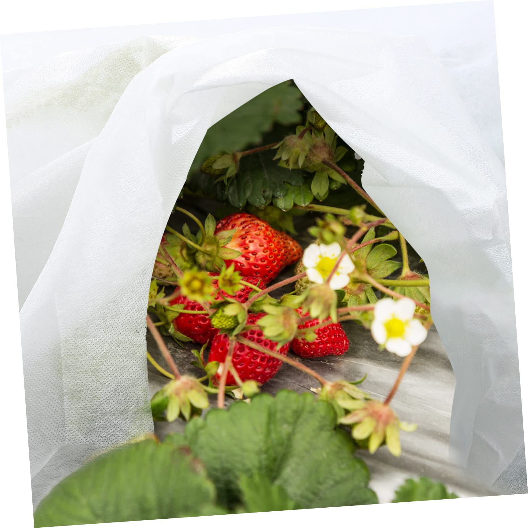 HEMOTON Voile D’hivernage en Non-tissé Blanc pour 2 Pièces Plantes