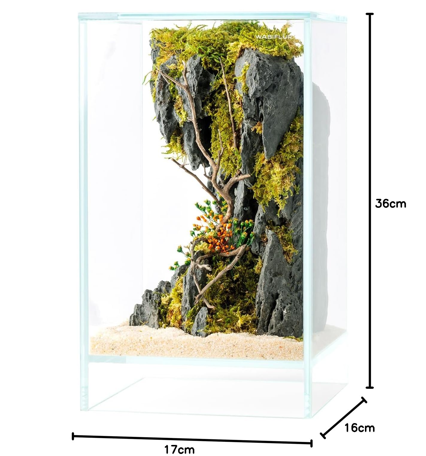 Creus - Terrario estabilizado de Cristal extraclaro, con luz LED y Soporte, con Flores estabilizadas, decoración Natural Elegante, sin Mantenimiento, para casa, Oficina e Ideas de Regalo