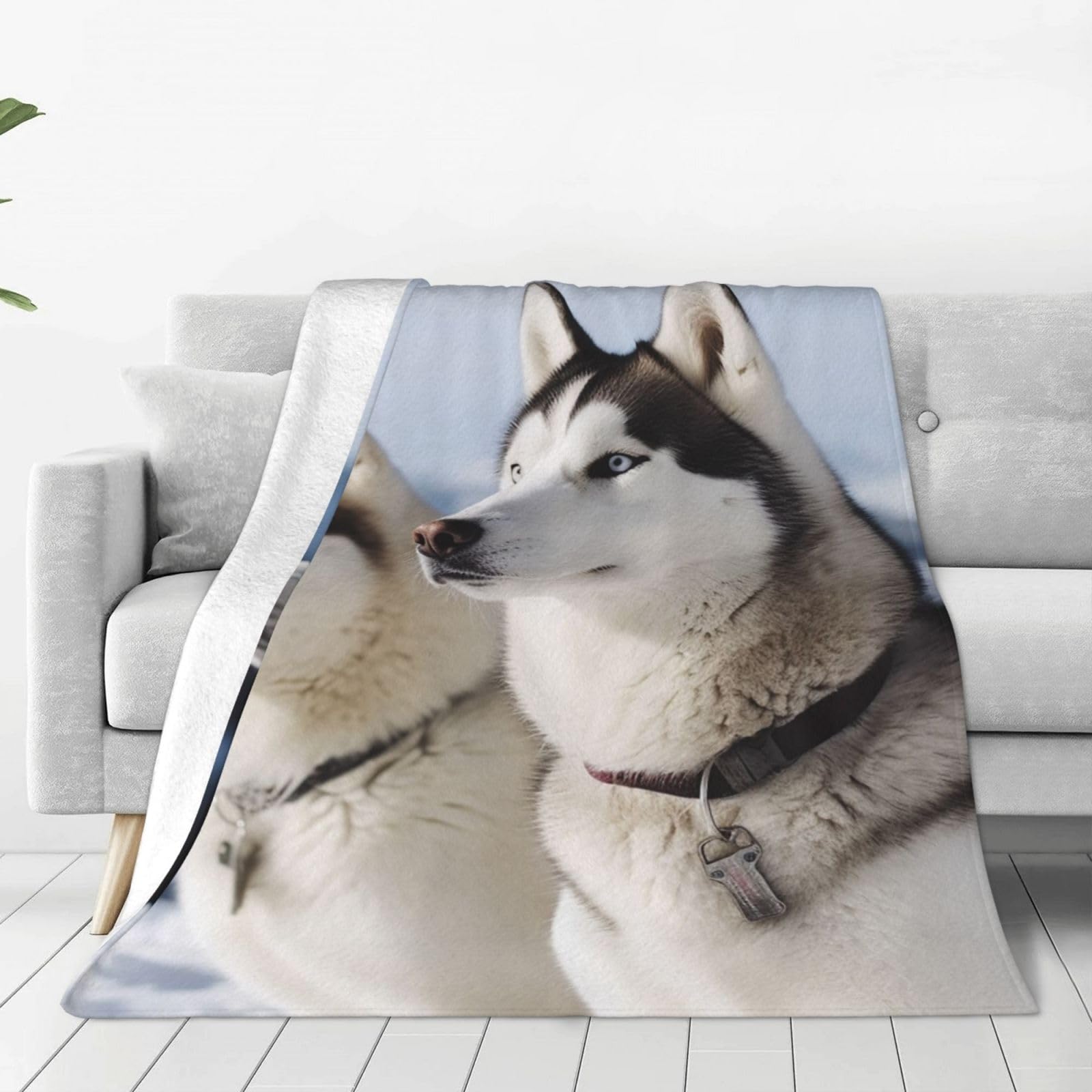 KLOPH Husky Dogs Throw Blanket 80"x60" Flannel Fluffy Warm Blanket for Couch, Reversible Plush Blankets for Bed, Comfy Fuzzy Blanket for Sofa, Plush Lightweight-Blankets for All Season