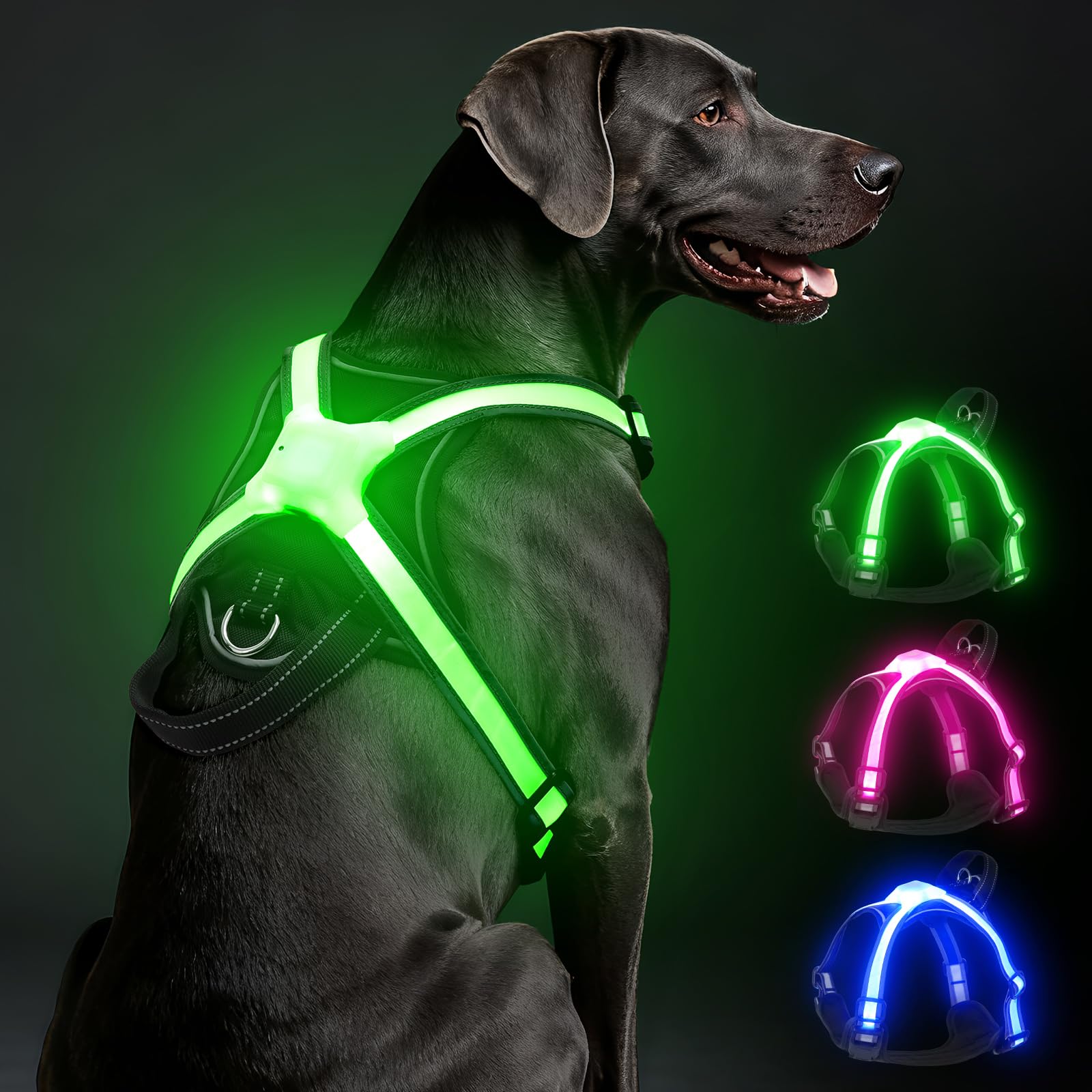 Light Up Dog Harness, Multicolor LED Reflective Vest, Glow in The Dark Safety Dog Harness, USB-C Rechargeable with Battery Indicator, Adjustable No-Pull Lighted Harness for Night Walking (Medium)