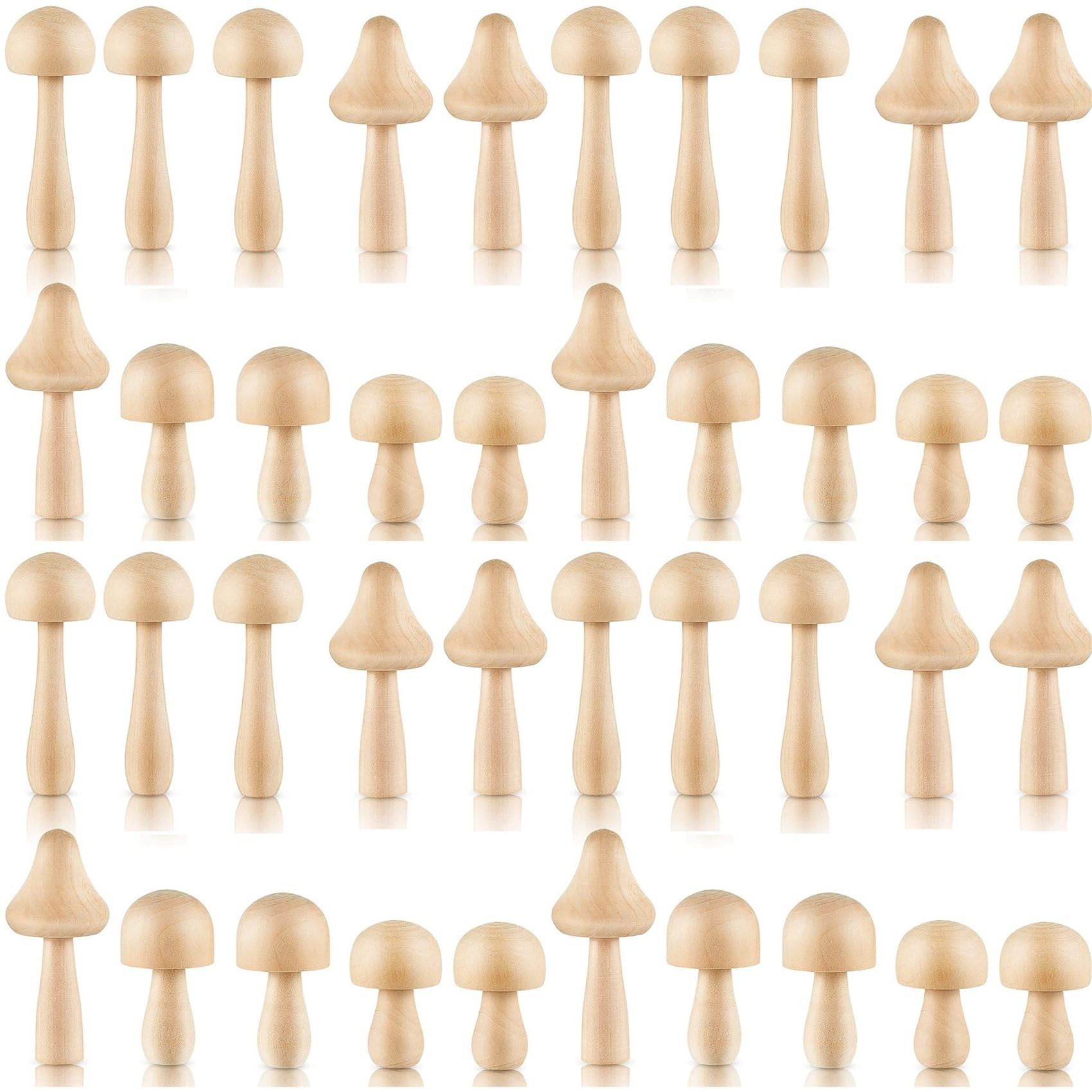 Champignon en bois brut décoratif : 40 pièces pour vos activités