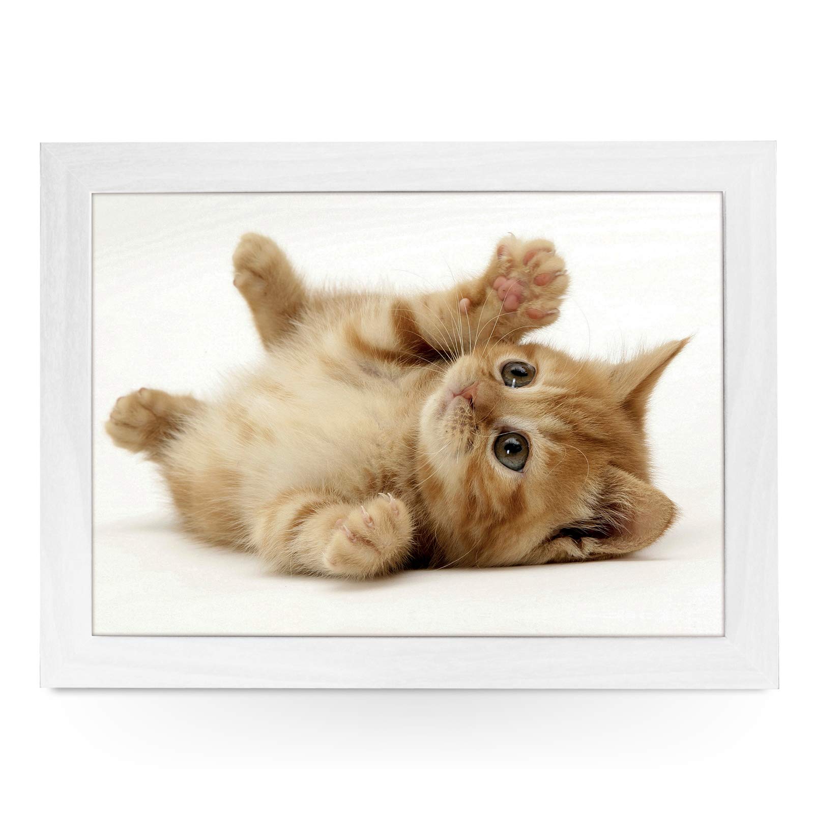yoosh Portable Lap Desk Tray (Playful Kitten) Handmade Wooden Frame, Beanbag Cushioned Bottom | Computers, Laptops, Meals, Food | L0125 White