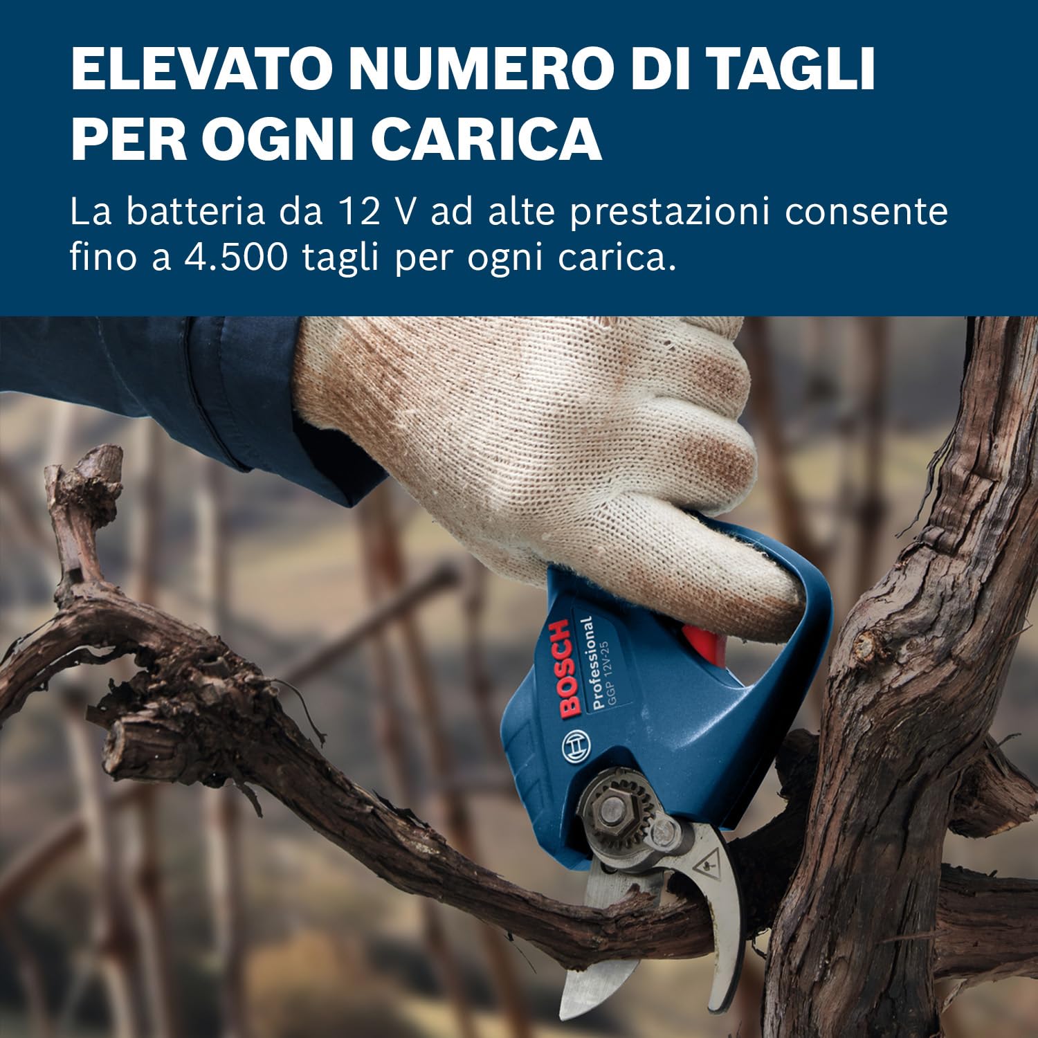 Bosch Professional 12V System GGP 12V-25 Potatore (fino a 4500 tagli per carica, motore brushless, tagli da 25 mm, con 2 batterie da 3.0 Ah)