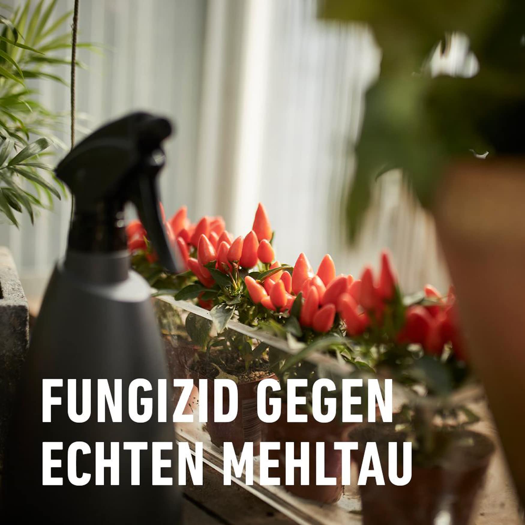 künstliche bonsai bäumchen Kuenstlicher Bonsai-Baum 41cm gruen pflegeleicht Deko Wohnzimmer Buero –  widim.de main image 0