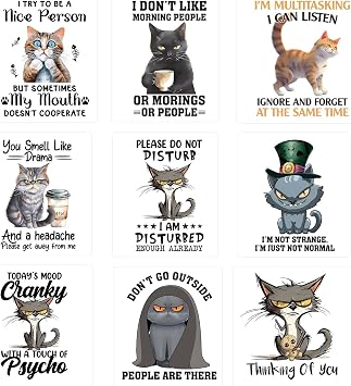9Pcs Funny Cat Iron On Transfer Patches DIY Iron On Decals Heat Transfer Vinyl Stickers for Clothes T Shirts Bag Pillow Covers Appliques