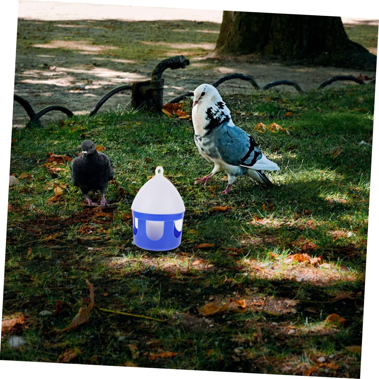 Kisangel 2Pcs Bird Water Fountain Portable Bird Water Feeding Device for Pigeons and Doves Durable Supply for Long Term Water Storage for Busy Owners