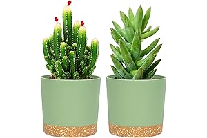 QCQHDU Plastic Pots for Plants 5 Inch Set of 2: Durable Planters...