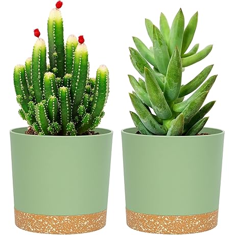 QCQHDU Plastic Pots for Plants 5 Inch Set of 2: Durable Planters...