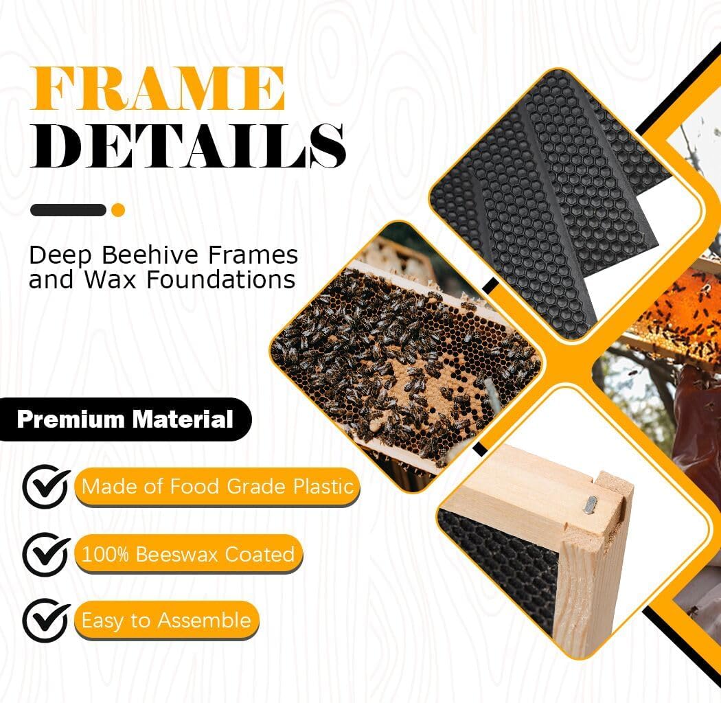 BeeCastle 20 Pack Beehive Frames and Waxed Foundations for Deep Brood Bee Hives with Wooden Bee Hive Frames and Beeswax Coated Foundations, 9-1/8-Inch (Black) - Image 2