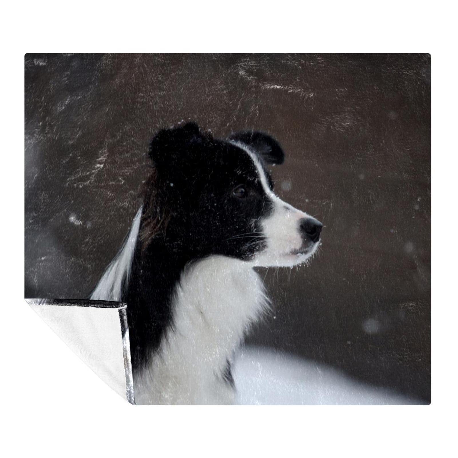 Couvertures chaudes et douces chien Border Collie plaid canapé microfibre