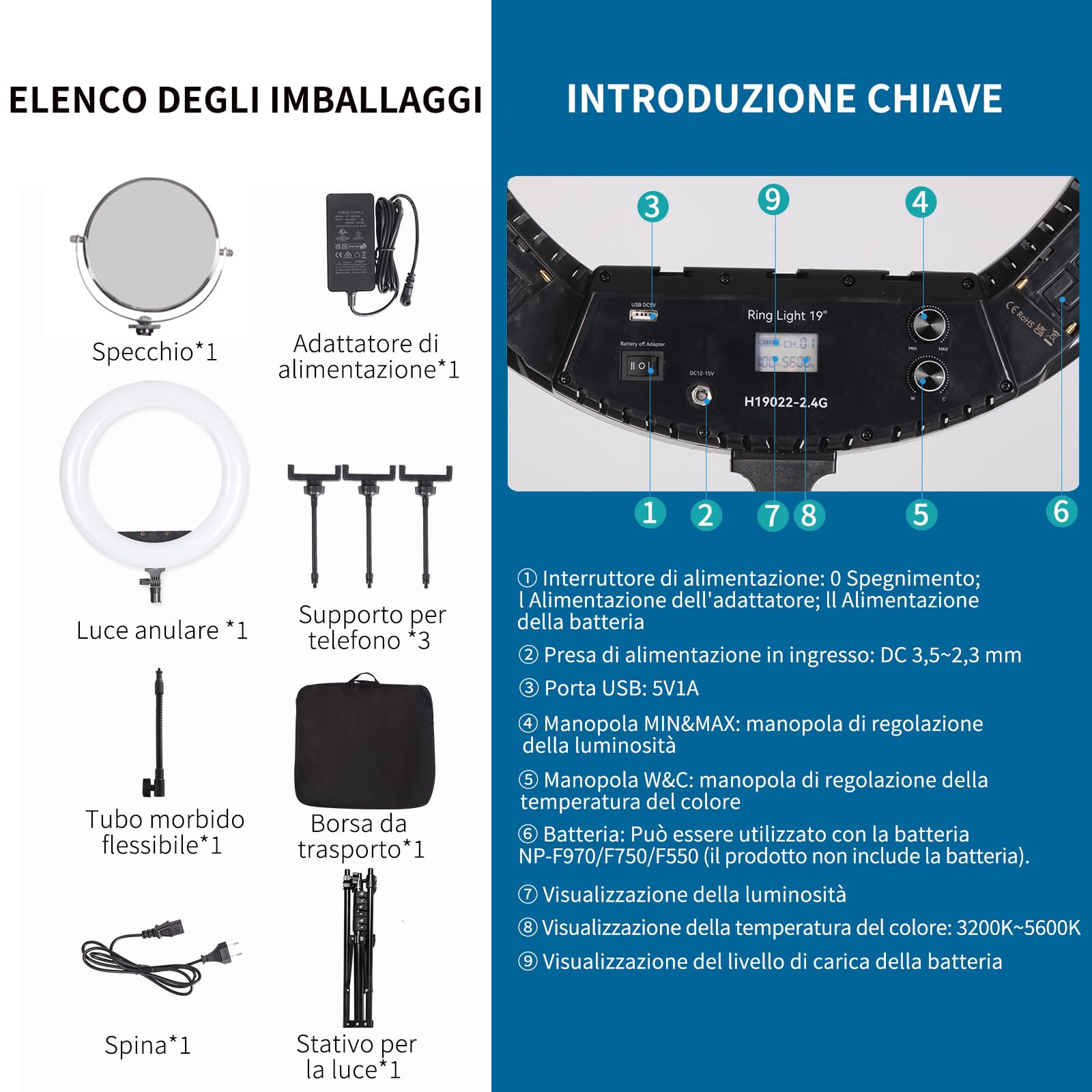 19" LED Ring Light Luce Anulare Kit con Stativo, Specchio e Supporto per Telefono per La Fotografia in Studio, Ritratto, Selfies, Live Streaming, Registrazione Video, Trucco di Bellezza