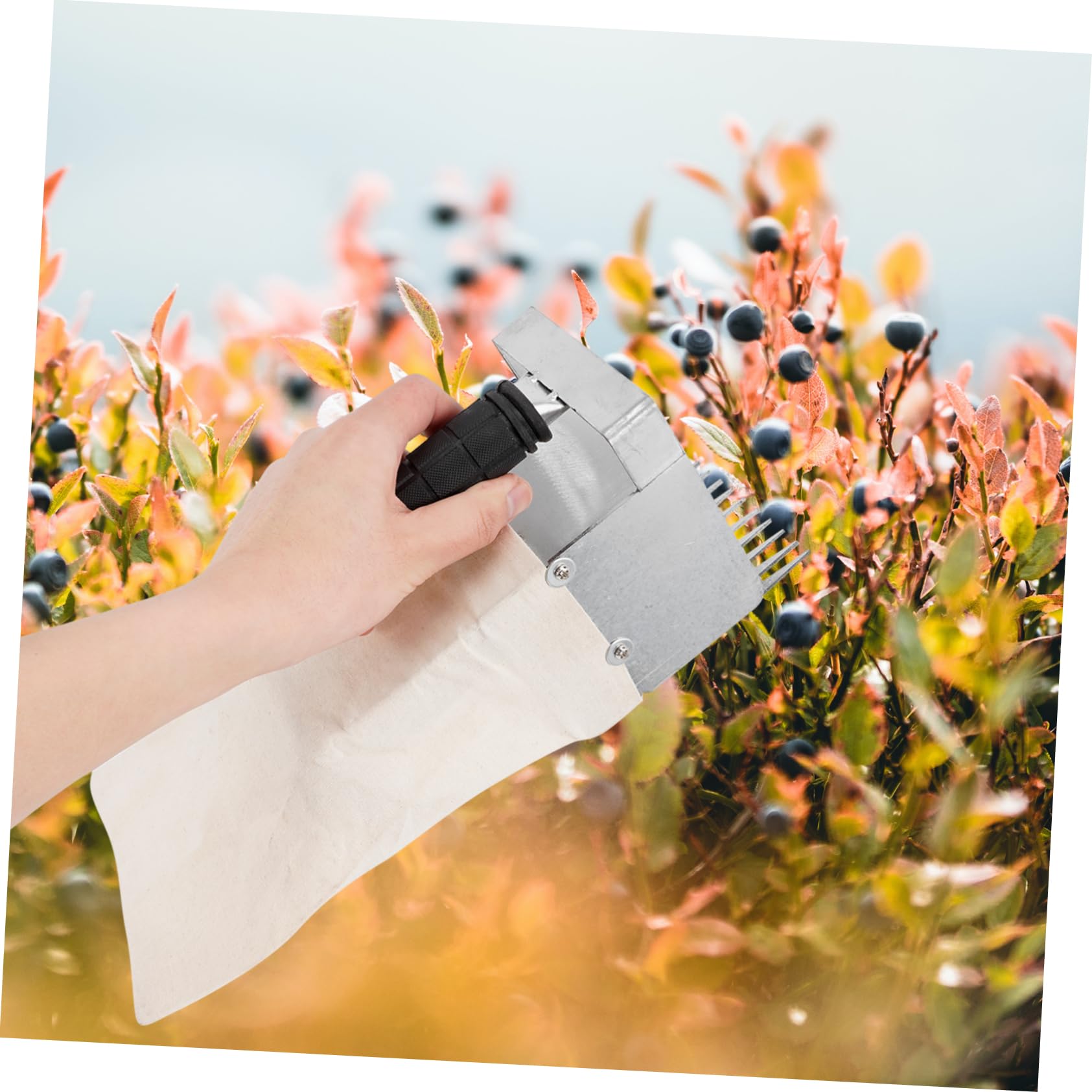 Recolector De Arándanos con Mango Pala para Recoger Arándanos Herramienta De Jardinería para Manos Libres El Huerto