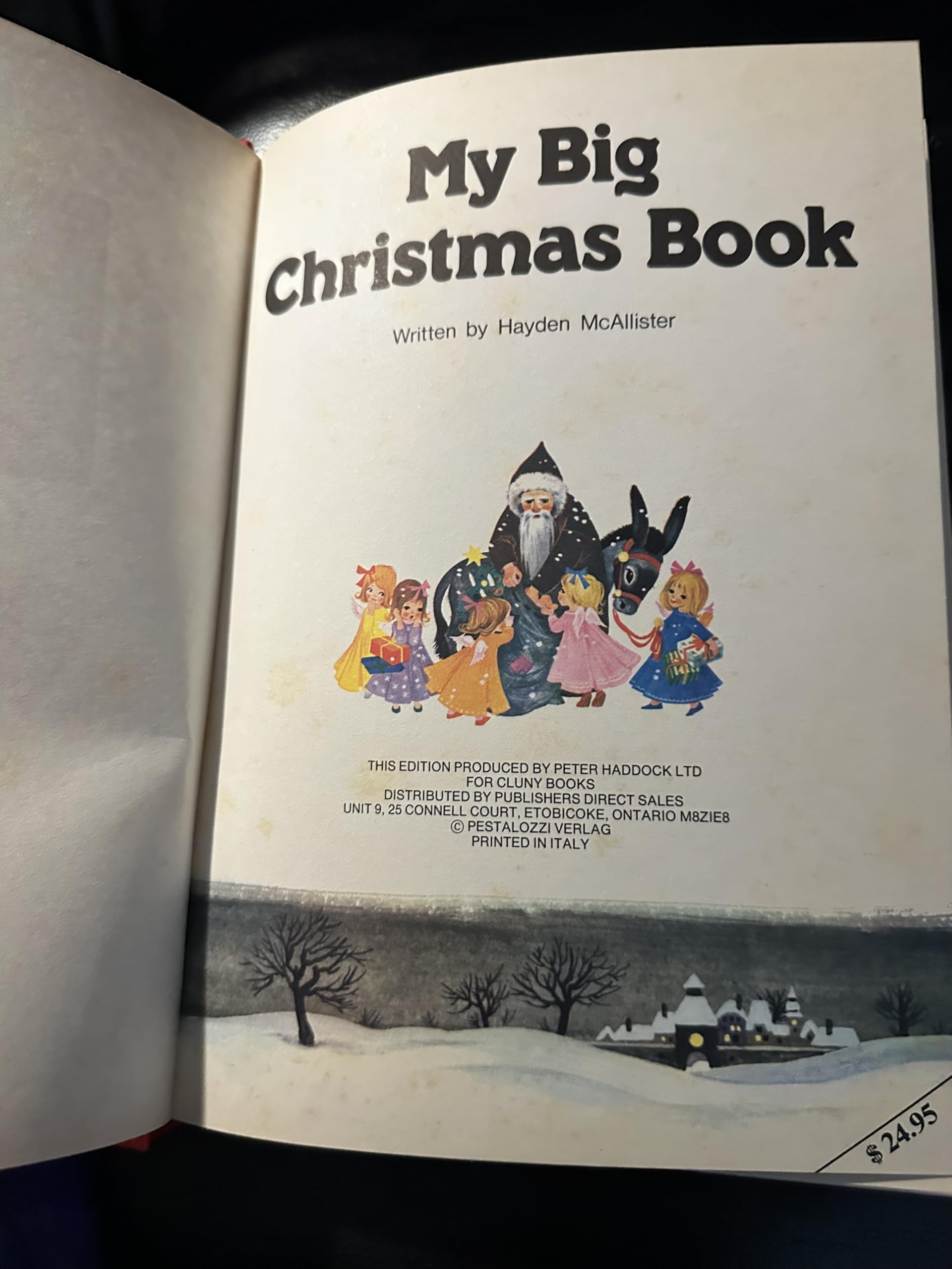 My Big Christmas Book Hayden McAllister - PT02