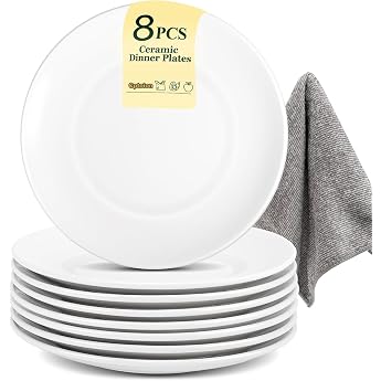 Set of 8 Ceramic Plates 25.4 cm Round