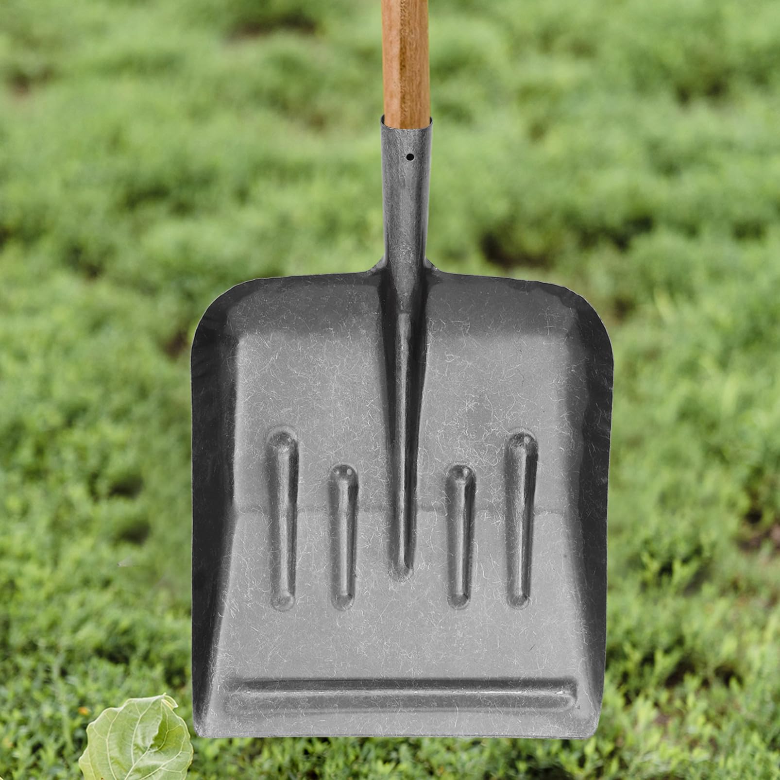 Pala da Giardino con Testa Piatta in Acciaio Manganese Raschietto per Scavo e Pulizia Esterna Manico Ergonomico Antiscivolo per Neve Terra e Rifiuti Utile per Agricoltura e