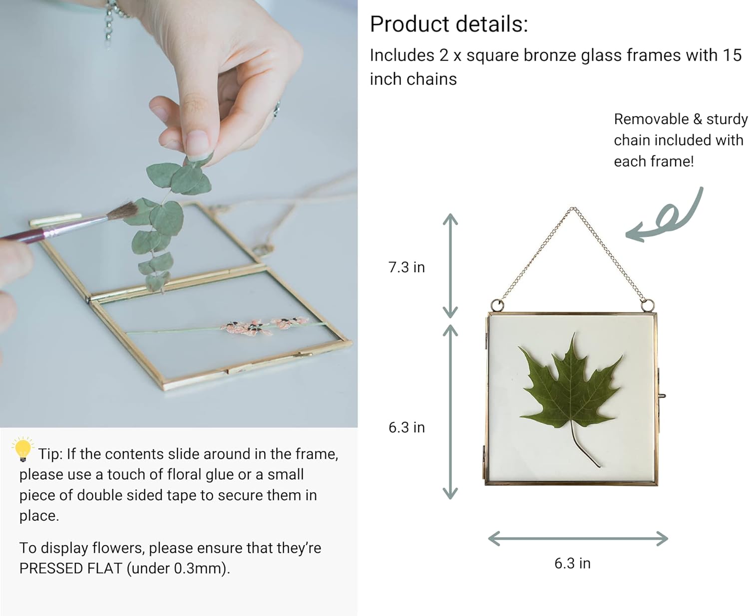 Beedecor Glass Frame for Pressed Flowers, Leaf and Artwork - Hanging Square Metal Picture Frames, Clear Double Glass Floating Frame, Wall Decor Photo Display, Set of 2 Flower Press Frames with Chain