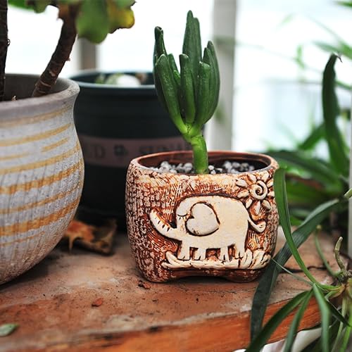 Miniatura 4 de Macetas de elefante con orificio de drenaje, bonitas macetas para suculentas, macetas para decoración del hogar, interior y exterior, jardín